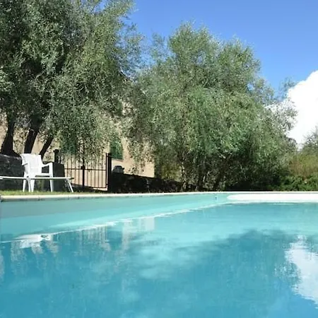 Cipresso 2 Villa Lastra a Signa