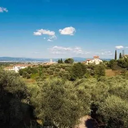 Cipresso 2 * Lastra a Signa