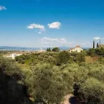 Cipresso 2 * Lastra a Signa