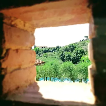 Cipresso 2 Villa Lastra a Signa