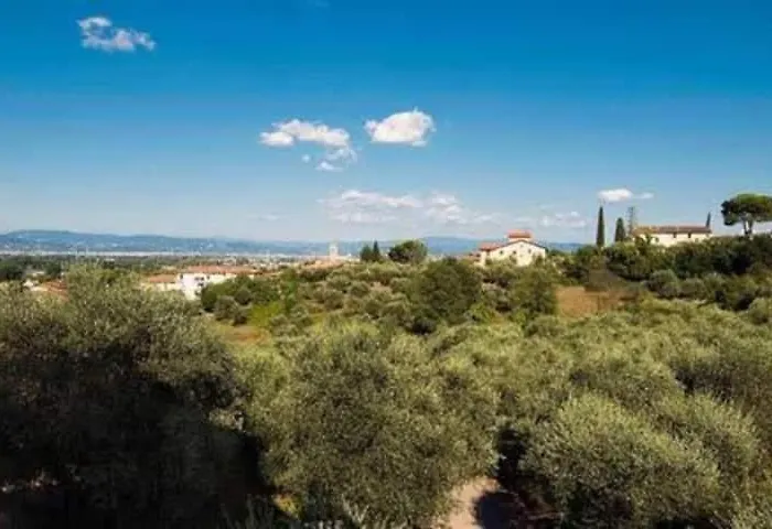 Cipresso 2 * Lastra a Signa